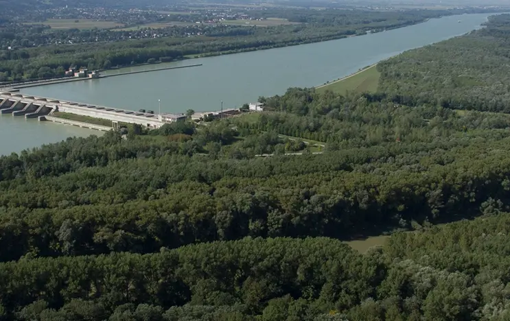 Ein Blick auf das Kraftwerk Greifenstein. Im Vordergrund sieht man Wälder.