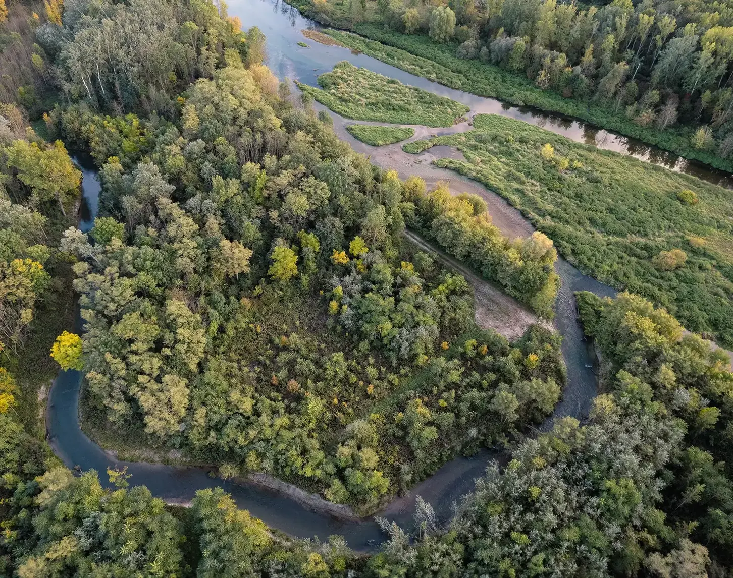 Zwischen 2009 und 2019 ist bei der Traisen eine neue Aulandschaft entstanden. Das Bild zeigt die renaturierte Traisen von oben. Man sieht nicht nur den Fluss, sondern auch ein Auwäldchen.